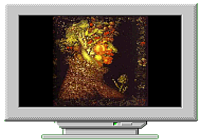Télécharger Arcimboldo Télécharger Arcimboldo